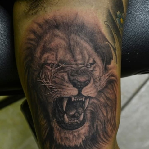 Realistic Lion Growling Tattoo