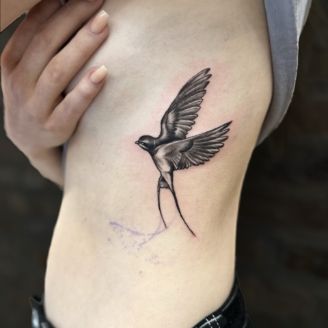 Realistic Swallow Bird Tattoo