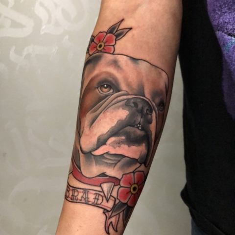 Tatuaje tradicional de Bulldog inglés
