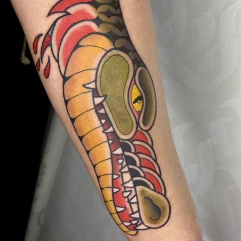 Neo Traditional Cocrodile Tattoo