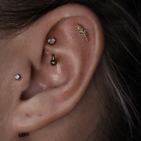 multiple ear piercings including a flat piercing with a gold feather a tragus and a rook piercing